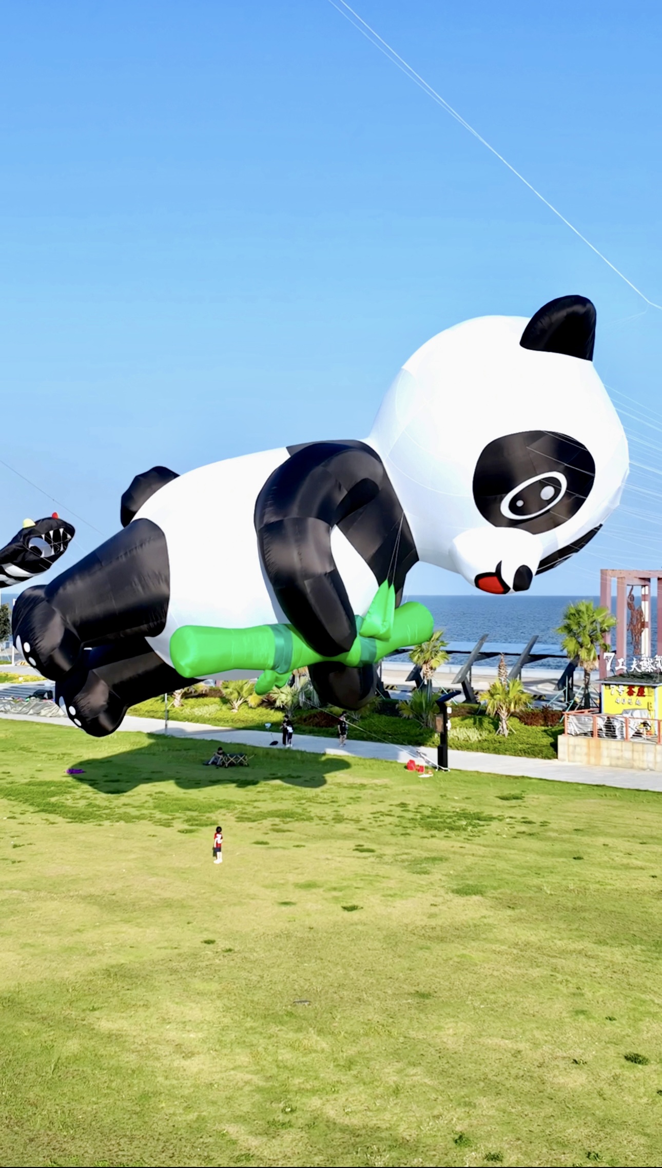 白银市风筝批发风筝放飞活动策划 - 排名