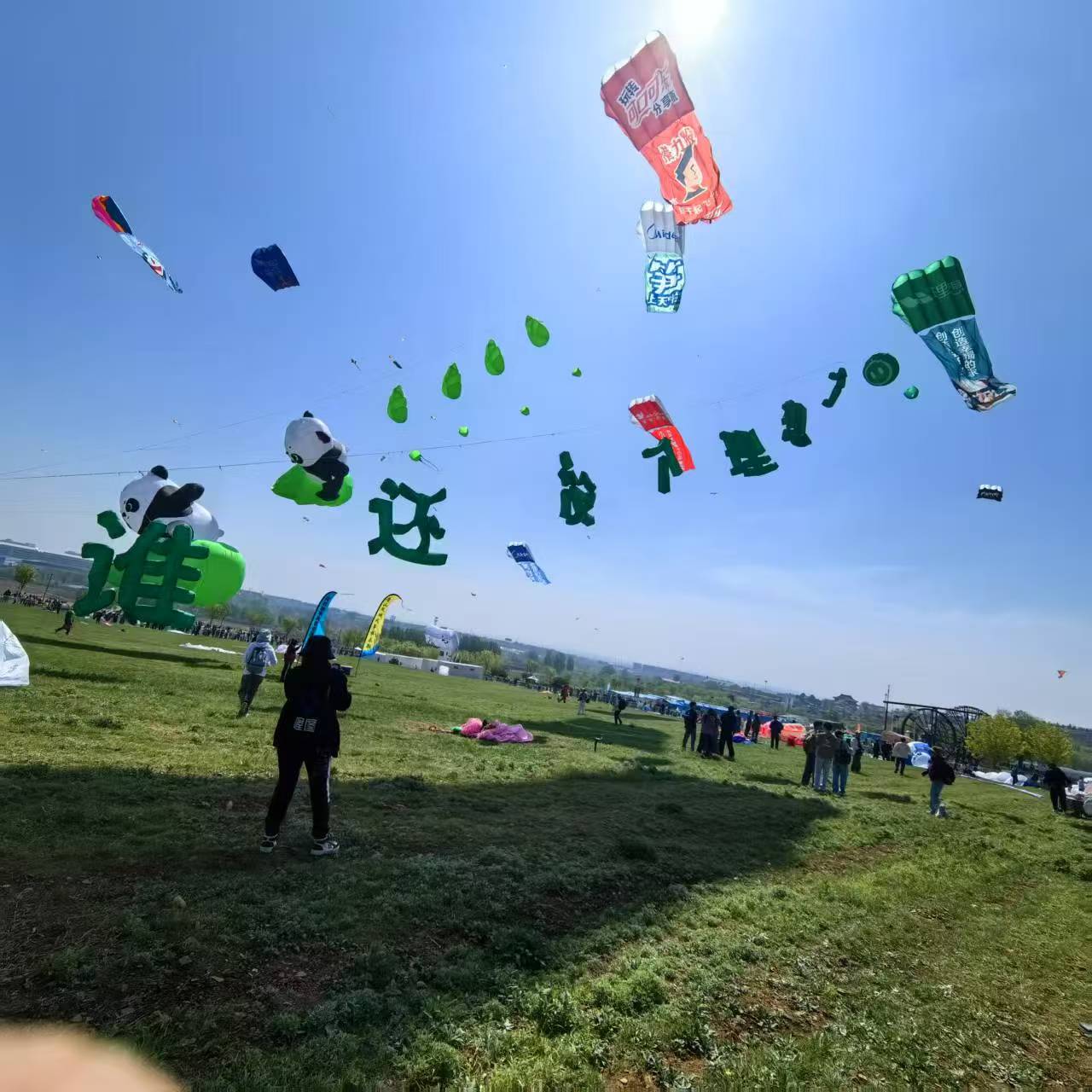 白银市风筝DIY风筝定制 - 价格